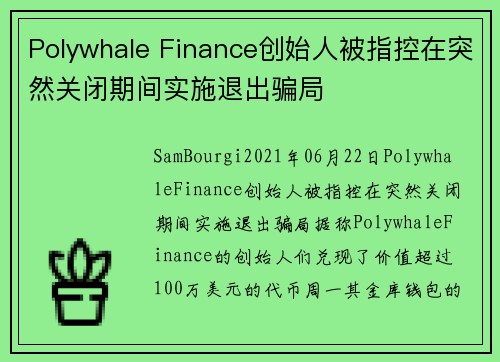 Polywhale Finance创始人被指控在突然关闭期间实施退出骗局 
